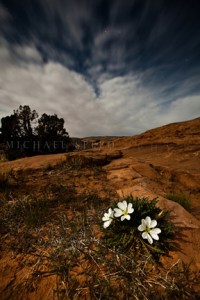 Photo copyright Michael Speed Photography.