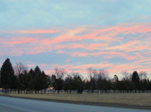 I am still in love with the view from my porch. The colors always make me feel so calm.