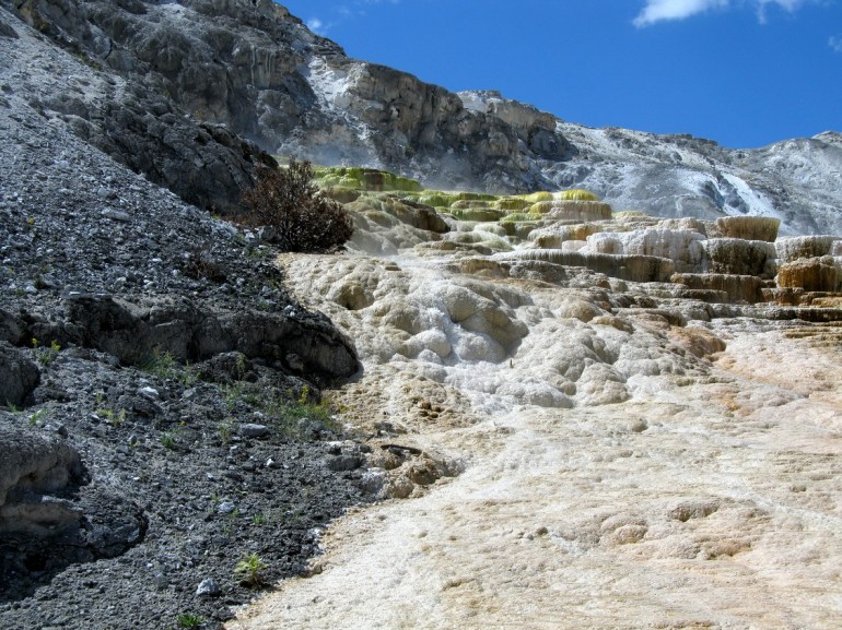 My favorite feature of the park was by far all the hot water features. Geysers, steaming waterfalls and multicolored mineral deposits are all so amazing.