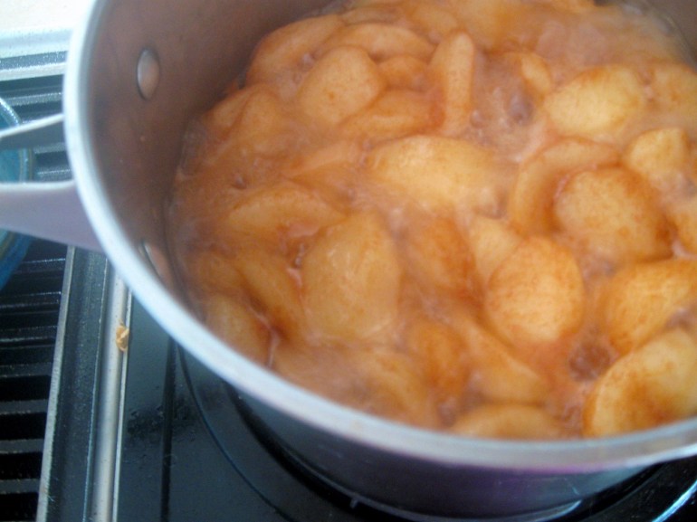 There are so very many times I wish smells could come through a blog post. This pot of awesome smells just like fall.