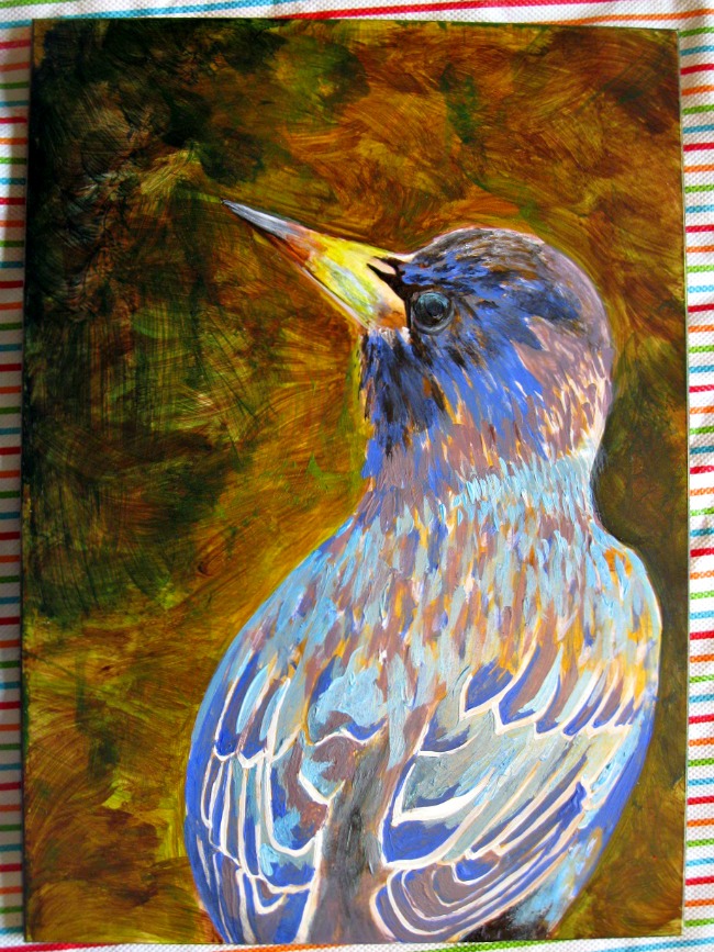 04 01 2014 starling 5