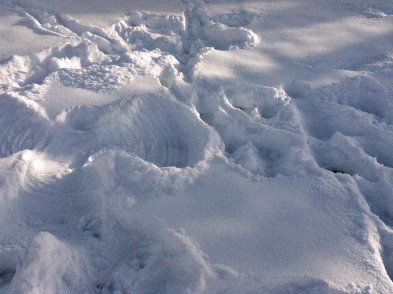 Snow angels have to happen when snow is this perfect.